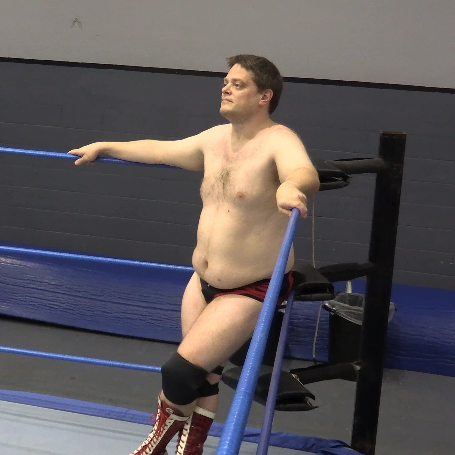 Bison - Vertex Wrestling